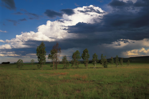 Gathering storm clouds
