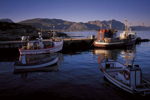 Hermanus harbour