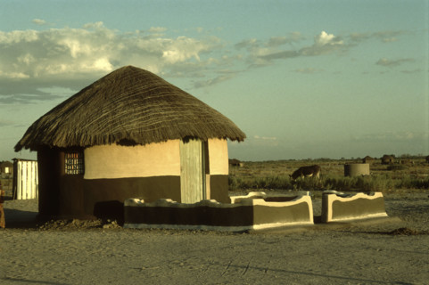 Decorated Hut
\n