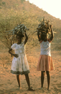 TWo girls carring fire wood.
\n