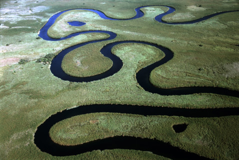 Okavango Aerial
\n
