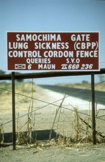 Vet Fence
\n
