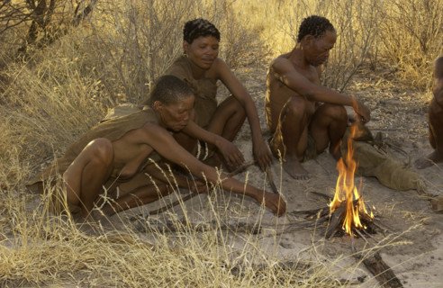 Making Fire
\n
\n