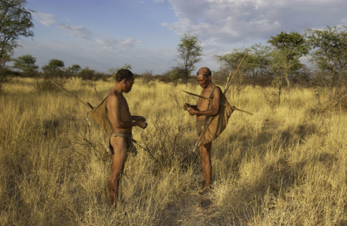 San Men in the Veld
\n
\n