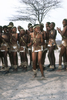 San Dances
\n
