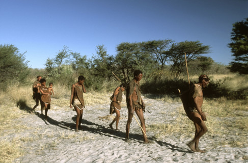 San family walking through bushnveld
\n