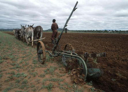Ploughing the Fields
\n