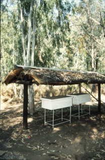 Bee Hives
\n