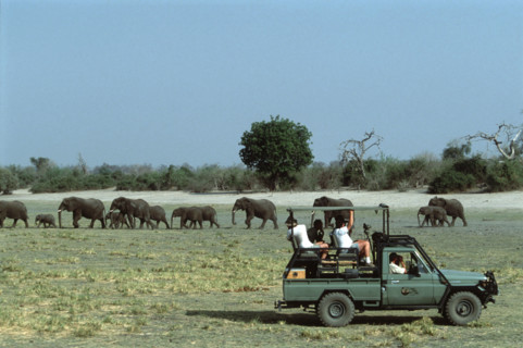 Game viewing