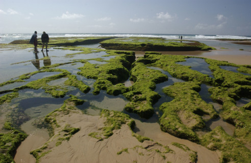 Rock Pools