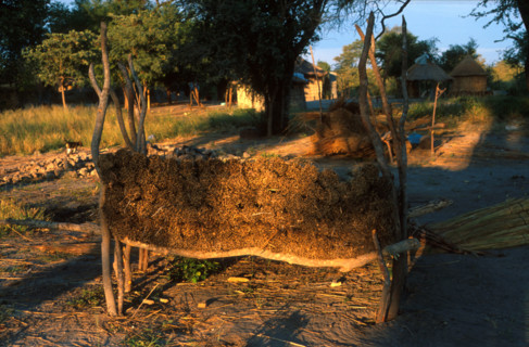 storing grass for thatching