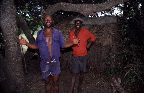 ilala palm wine brewers