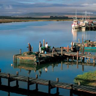 FISHERMEN AT VELDDRIF HARBOUR