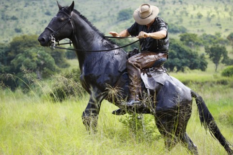 Visiteurs avec les Safaris 'South African Horse Back"
