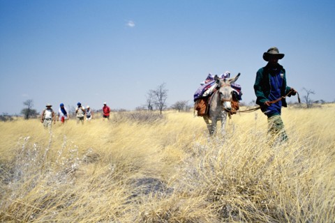 Guide éco-touristique de la communauté Bushman