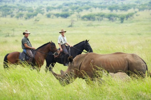 Visiteurs en safari à cheval, Afrique du Sud