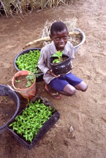 Sihle Mlambo, un jeune garçon