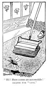 Balais à tapis ou Bissell