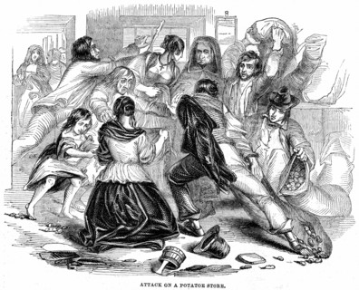 Pénurie de pommes de terre en Irlande, juin 1842