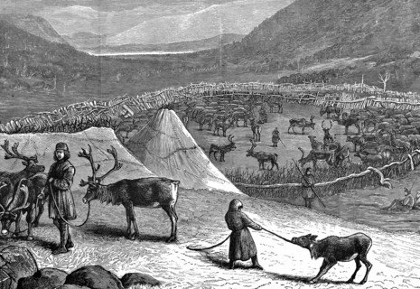 Gravure représentant un campement lapon avec un enclos pour les rennes
