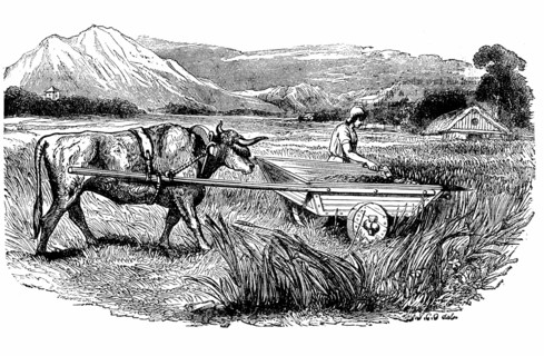 Gravure représentant la reconstruction d'un char à faux romain tel que le décrivait Pline