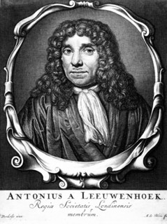 Leeuwenhoek,  Antonie van (1632-1723)