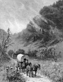 Voiture tiree par une mule traversant le plateau du Cumberland, dans le Ketucky