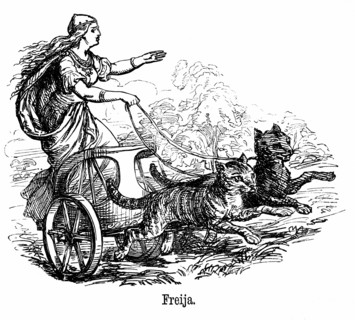 Freya or Frigg goddess of love in Scandinavian mythology, wife of Wotan or Odin, driving her chariot pulled by cats