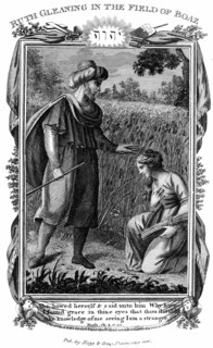 Ruth, femme Moabite veuve de Mahlon, glanant pami les allées de maïs, attire l'attention de Booz qui l'épousera