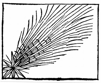Hartmann Schedel, Comète de Halley, "Liber chronicarum mundi"