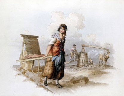William Henry Pyne, Brickfield