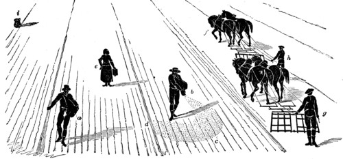 Crop Rotation