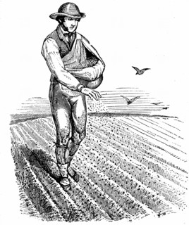 Crop Rotation