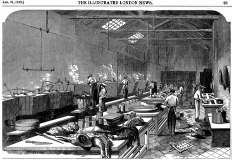 Cannery