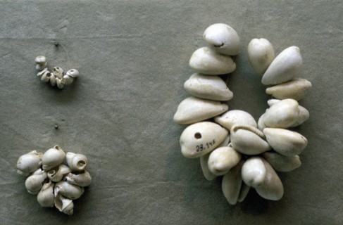 Colliers de coquillages