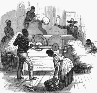 Putting cotton bolls through whipping press