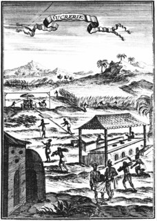 Sugar factory and plantation in the West Indies