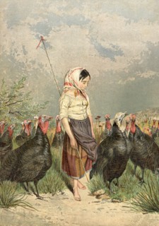 The Turkey Guardian
