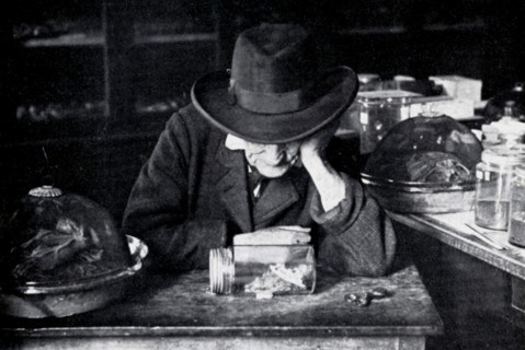 Jean-Henri Fabre