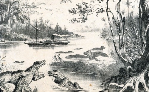 David Livingstone