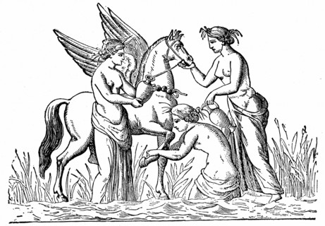 Nymphs attending the winged horse