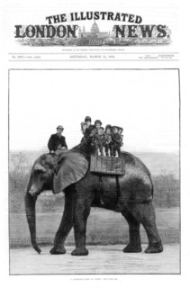 A Farewell Ride on Jumbo' at the Zoo