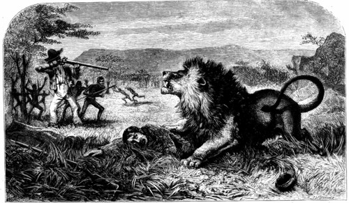 David Livingstone