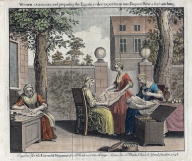 Women examining silk moth eggs and putting in boxes for hatching into caterpillars