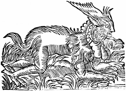 Lycanthropy