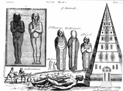 Mummies and embalming
