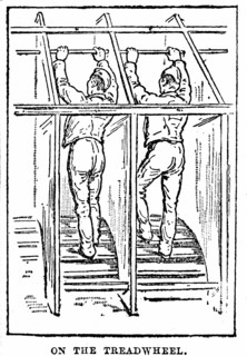 Prison discipline