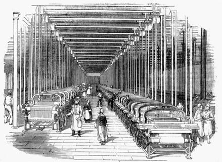 Weaving shed fitted rows with power looms