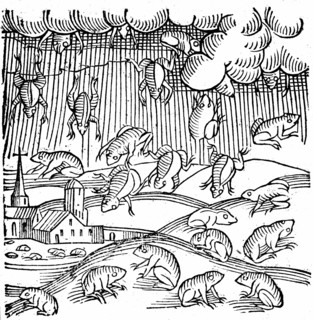 Le Livre des Prodiges : la pluie de grenouilles