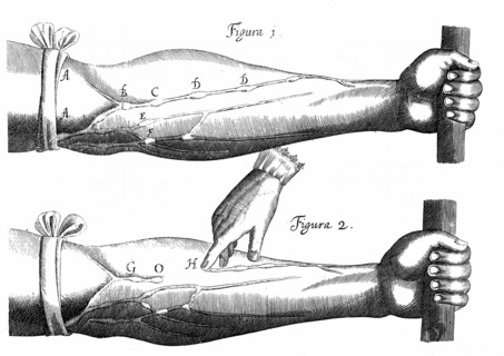 William Harvey